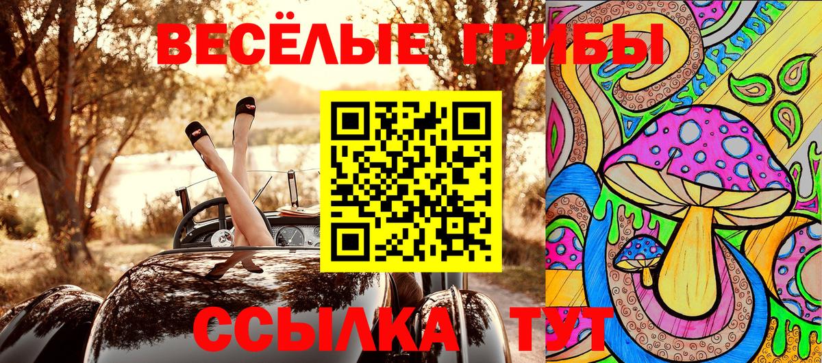 Галлюциногенные грибы Cubensis Камень-на-Оби